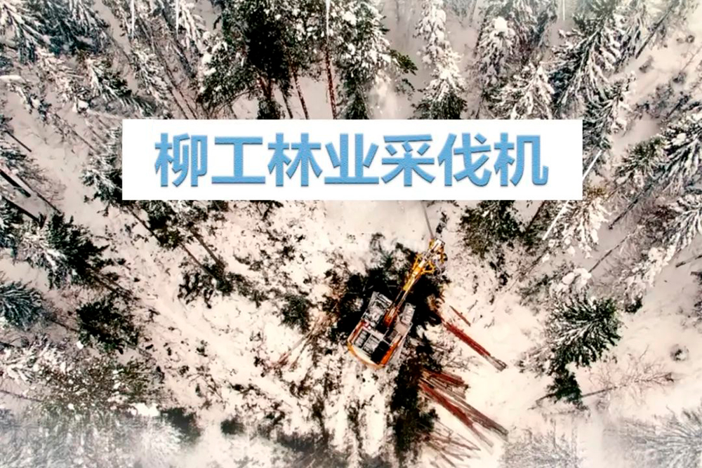 尊龙凯时·(中国)人生就是搏!